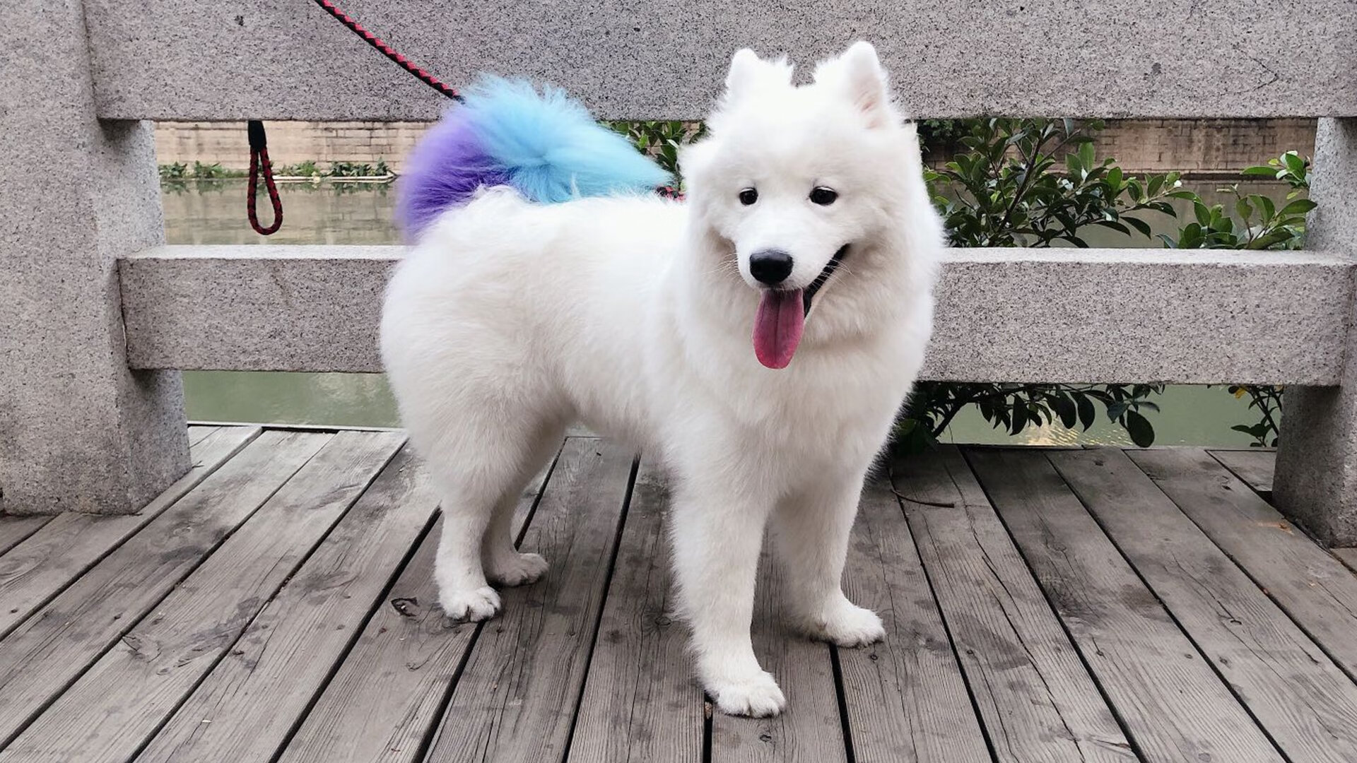 开云电竞-五大联赛是否提倡多节奏训练适配不同类型对手，五大联赛激烈程度